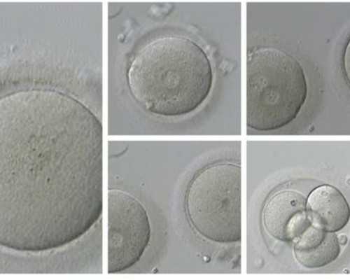 儿童注射要注意！别还不知道达必佳4大副作用