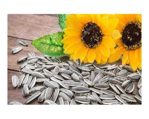 武汉正规代妈公司 武汉中南医院试管婴儿生男孩费用大概多少钱? ‘4月b超怎么