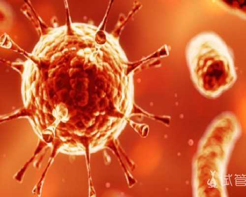 在杭州邵逸夫医院申请供精试管需等待多久才有精源？