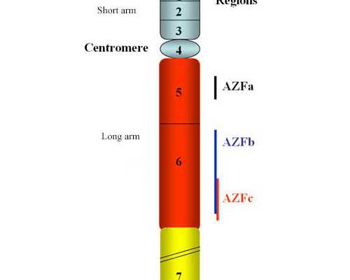 顺产坐月子禁止吃的12种蔬菜除了白萝卜、冬瓜还有哪些？