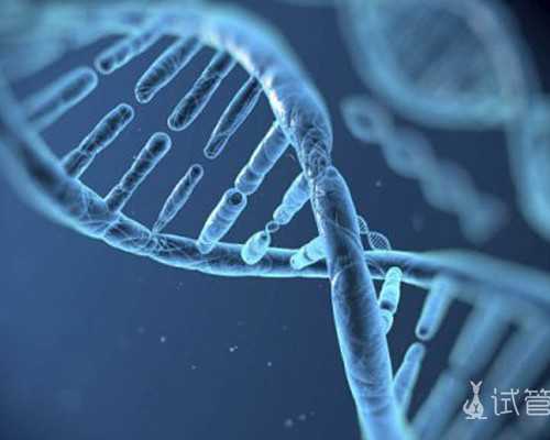 正规代妈公司_试管助孕需要准备哪些证件？