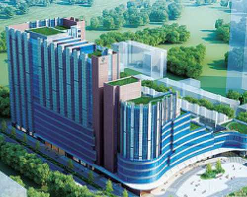 啊！！我的四级养囊成功了 代孕公司/机构