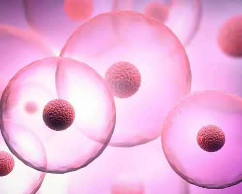 取卵后不能骑电动车吗？