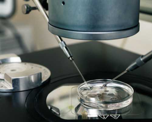 重庆有代妈公司吗 重庆市计生医院试管婴儿费用明细 ‘b超单上肾盂分离就是男