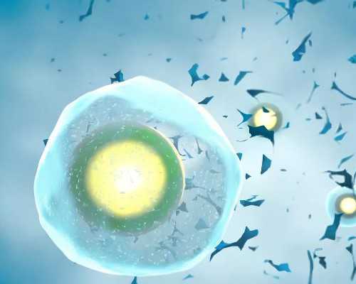 最新个人找代妈_邢台哪里可以做助孕试管婴儿？有正规资质医院名单