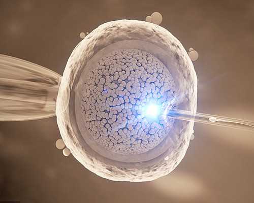 找个人代妈一名，有的私_找试管代妈首选aa69_赴美试管婴儿需重点掌握哪些助孕