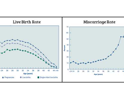 看慢性宫颈炎要多少钱