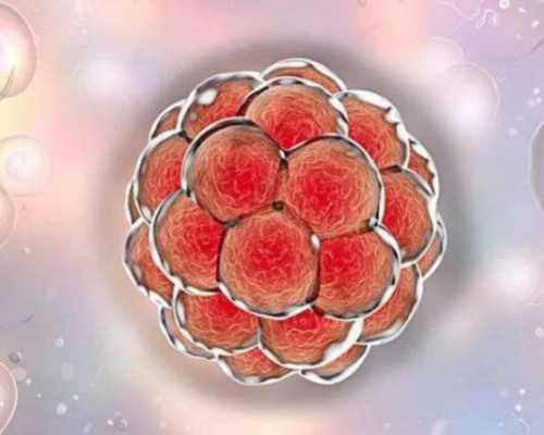 自然受孕代妈经历讲述_兰州解放军第940医院可以做试管婴儿吗？试管助孕成功