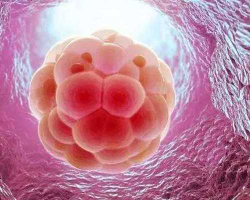 重庆自供代妈 重庆私立试管婴儿医院排名前十名一览，要想医院好先掌握挑选