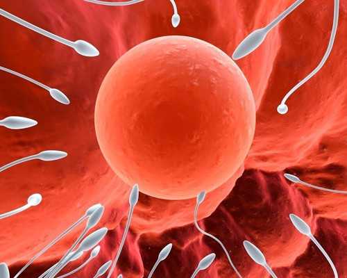 人工流产有哪些危害