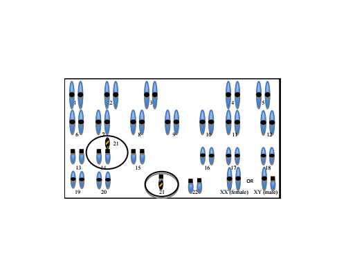 2024北京供卵试管骗局,高龄去北京协和医院供卵二代试管的成功率怎样？-代妈代