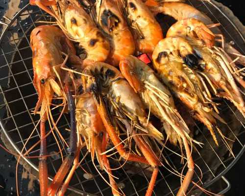 试管婴儿如何养成易孕体质？