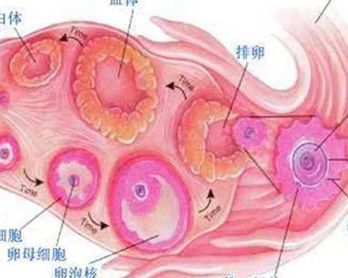 自然受孕代妈服务2020_找私人可靠代妈_试管婴儿技术助孕好孕策略get起来