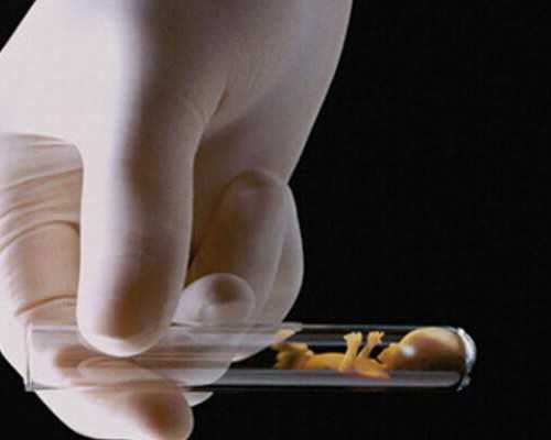 专业代妈招聘_正规代妈就到ymfc专业_龙岩助孕提示影响泰国试管婴儿成功率的因