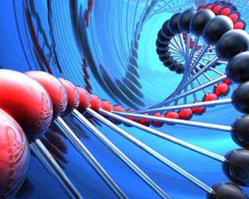 说说我的代妈经历_备孕中的准爸妈，这些滋补助孕的食物可得记住哦