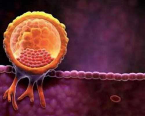 自己找代妈去试管_北京助孕试管婴儿医源性双胎妊娠对孕产妇的风险