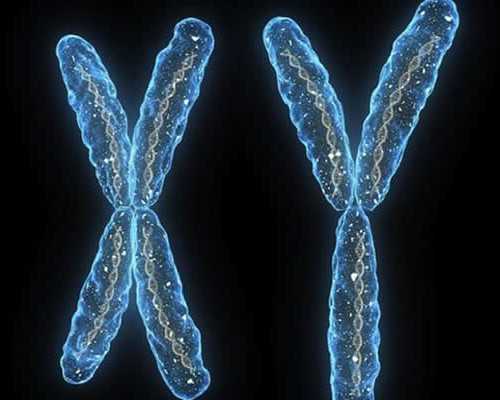 重庆提供代妈 重庆新桥医院试管婴儿成功率在当地的排名怎么样？ ‘孕囊大小