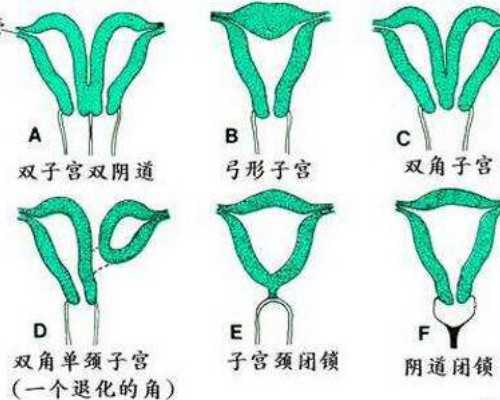 患有卵巢早衰怎么治最好