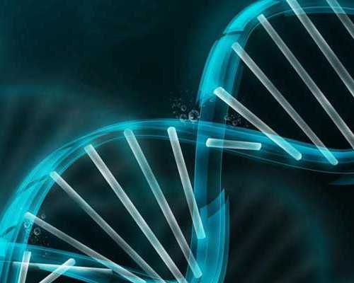 苏州试管二胎小王子，快来接好孕 AA69代孕机构费用