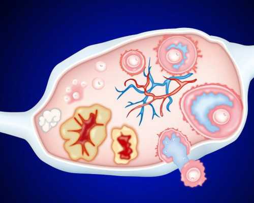 自然受孕代妈多少钱_试管婴儿助孕出生的孩子和自然怀孕的孩子一样吗？听听