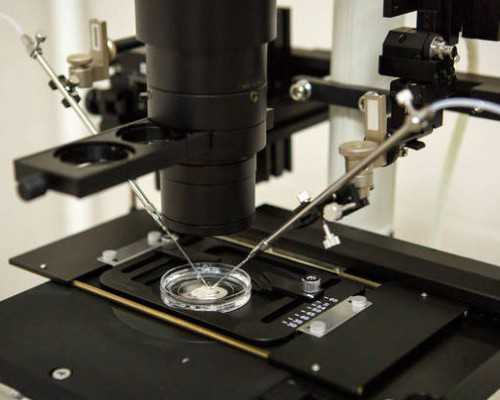 助孕代妈佣金_【卵巢早衰供卵助孕流程】备孕去检查，说各种原因会影响怀孕