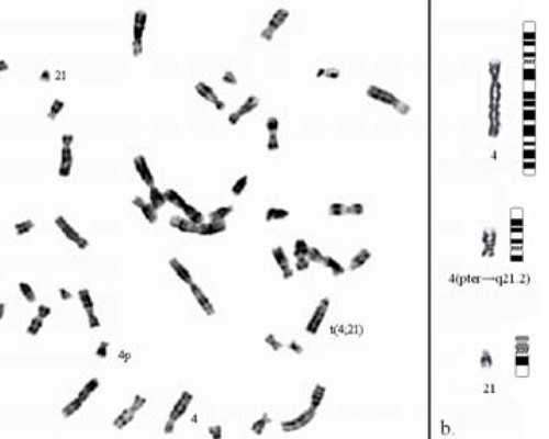中国二胎政策下出生率走低，首尔人口32年来首次跌破千万