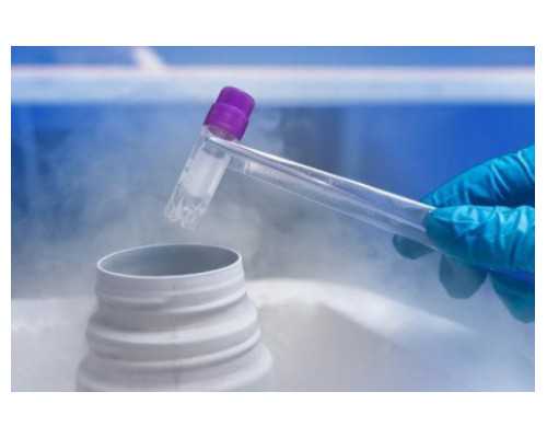 自然受孕代妈被骗_安徽助孕试管婴儿医院/费用多少钱/成功率介绍