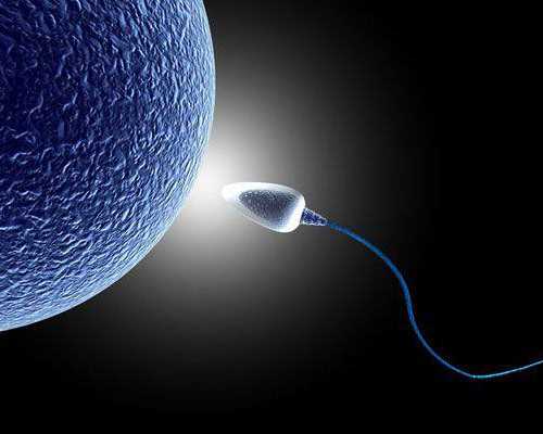 通水后多久可以怀孕？输卵管通水后怀孕时间