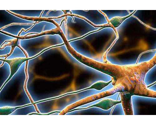 公寓、酒店、民宿？2022泰国试管婴儿住宿实用指南