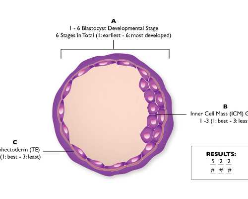 正规代妈找优宝助孕专家_职业代妈怎么找_贵阳不孕不育医院排名？试管助孕成