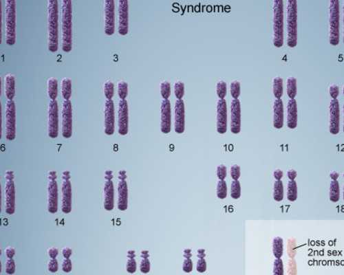 2022深圳试管婴儿私立医院排名前三医院有哪些？