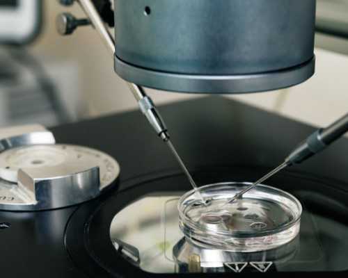 正规公司高薪招聘代妈怎么样_找孕代妈价格_【哪里提供卵巢早衰供卵助孕】生