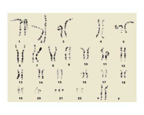 最近找自然代妈_河南供卵试管婴儿医院排名前十？附河南供卵试管助孕成功率
