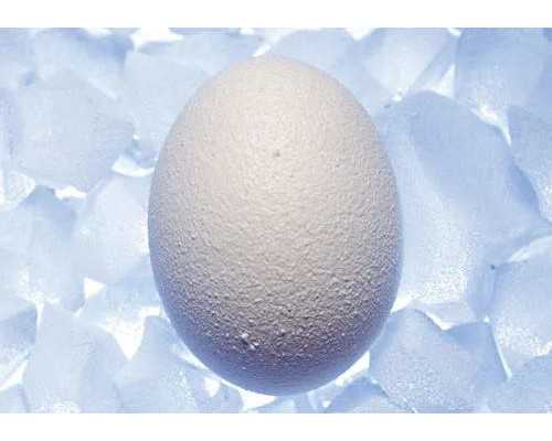 找试管代妈只找AA69_好孕攻略：如何快速的完成试管助孕治疗？