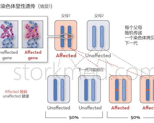 急找青岛代妈费用_备孕压力太大？快试试这4个方法，帮你减压助孕