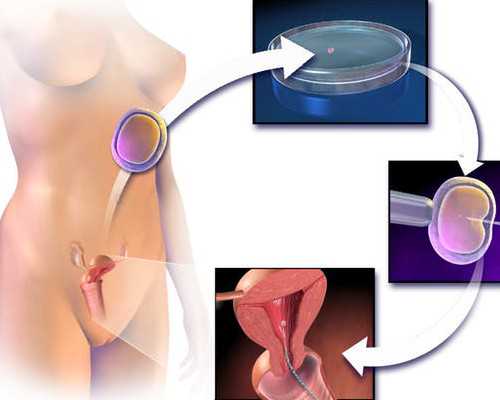 进口婴儿奶粉牌子良心推荐，都是排行前十的大品牌