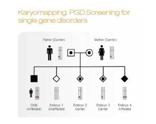丘疹性荨麻疹多久能好