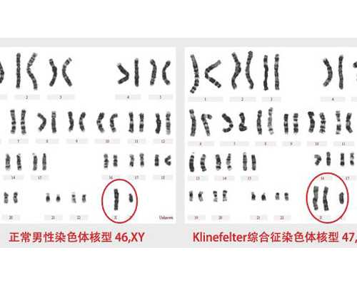 3天10+代妈试管机构考察后避坑汇总,代妈南沙落实“1+3”政策构建高水平开放新