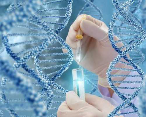 重庆代妈代怀电话 影响重庆七星岗妇幼试管婴儿成功率的因素： ‘怀孕b超图形