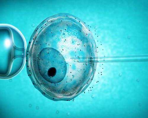 阳痿早泄一定会导致不育吗？