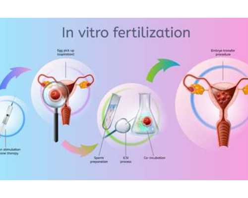代妈生殖试管婴儿医院排名第一是哪家医院？,代妈做供(借)卵试管婴儿私立医院