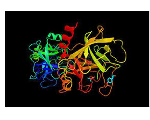 在代妈第六人民医院做一次试管婴儿要花多少钱？