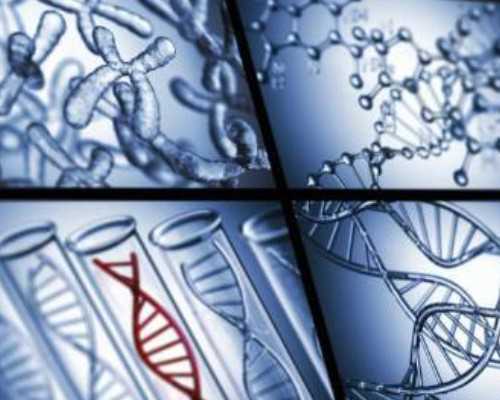 最新代妈贴吧_找私人需要代妈的_圣女果助孕吗