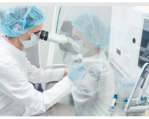 孕妇能吃粽子吗对胎儿有没有影响