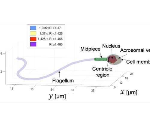 自怀孕孕代妈那里有_做滁州助孕试管婴儿女人会遭罪吗