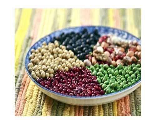 石家庄政策规定陪产假带薪休，长安区含周末可享15天