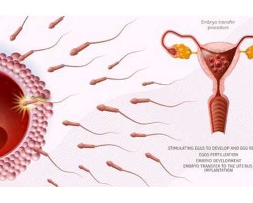 天津三代试管供卵助孕费用-代孕价格表_红茶和什么搭配最好