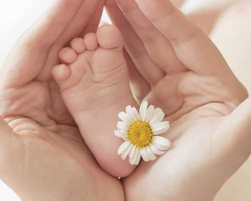 别担心6cb囊胚着床率低不能移植，其成功的案例还真不少