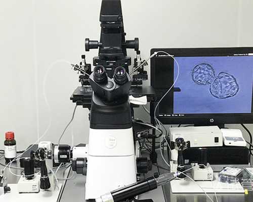 北京代生真心找代妈 北京第三医院排队做供卵试管的人多不多？ ‘九周的孕囊