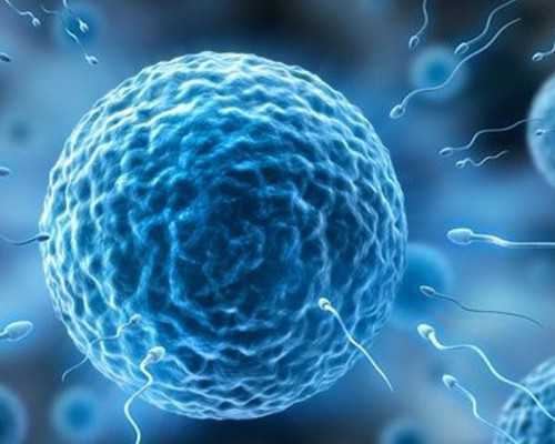 正规代妈就来ymfc规范_大龄女士如何借势试管婴儿技术性助孕?